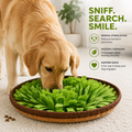 Dog Snuffle Mat