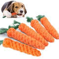 Carrot Chew Toy
